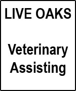 Live Oaks Veterinary Assisting